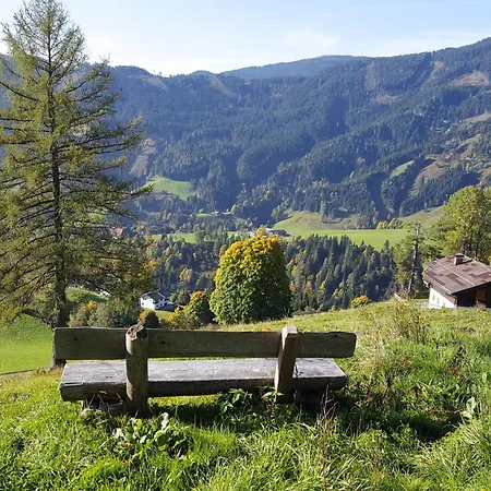 A45 By Interhome * Muhlbach Am Hochkonig